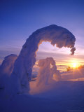 Snowghosts in the Whitefish Range, Montana, USA