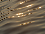 Buy Close-up of Smooth Rippling Water Glittering with Golden Sunshine at AllPosters.com