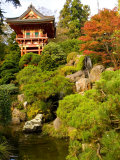 Japanese Tea Garden, Golden Gate Park, San Francisco, California, USA