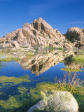 Buy Barker Dam, Joshua Tree National Park, California, USA at AllPosters.com