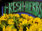 Sunflowers at Ferry Building Farmer's Market, San Francisco, California, USA