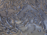 Close-up of Rough Texture Engraved on a Shiny Metallic Surface