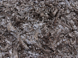 Close-up of a Pile of Cool Gray Ashes