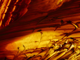 Close-up of Bright Colorful Paint Smeared with a Rough Texture