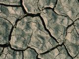 Buy Parched Earth Indicative of Scorching Year-Round Temperatures, Djibouti, Djibouti at AllPosters.com