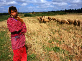 Shepherd Girl with Sheep, Amrit, Syria