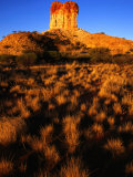 Buy Rock Formation and Scrub, Chambers Pillar Historical Reserve, Australia at AllPosters.com