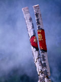 Burning Incense at Po Lin (Precious Lotus) Monastery, Lantau Island, Hong Kong, China,