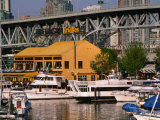 Yachts Docked Near Bridges Restaurant with Granville Island Bridge in Background, Vancouver, Canada