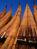 Cabillitos De Totora Reed Boats Stored Upright on the Beach, Huanchaco, La Libertad, Peru