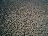 Arid Landscape, Cape York Peninsula, Australia
