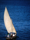Traditional Dhow Leaving Port, Lamu, Coast, Kenya