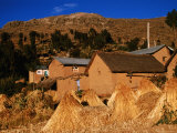Adobe Houses and Wheat Bundles in Colquecachi District, Amantani Island, Puno, Peru