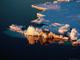 Buy Free Floating Pieces of Antarctic Sea-Ice, Antarctica at AllPosters.com