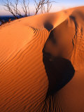 Buy Sand Dune on Tarkine Coast, Tarkine, Australia at AllPosters.com