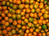 Buy Oranges for Sale, Michoacan De Ocampo, Mexico at AllPosters.com