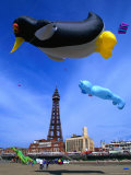 Kite Flying Near Blackpool Tower, Blackpool, Blackpool, United Kingdom, England
