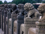 Carved Stone Lions on Marco Polo Bridge Bejing, China