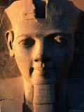 Statue of Ramses II at Luxor Temple, Luxor, Egypt