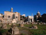 Roman Forum Ruins in the Early Morning, Rome, Italy