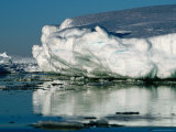 Buy Icebergs, Antarctica, Antarctica at AllPosters.com