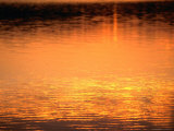 Evening Reflections on Lake Itasca, Itasca State Park, USA
