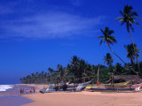 Fishing Boats on Tropical Beach, Ambalangoda, Sri Lanka