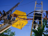 Buy Men Repairing Telephone Lines, Havana, Cuba at AllPosters.com