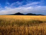 You Yangs Forest Park, You Yangs Forest Reserve, Australia