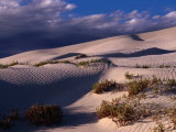 Dunes of the Great Australian Bight, Australia