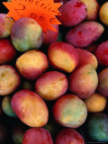 Buy Mangoes for Sale on Roadside Stall, Reunion at AllPosters.com