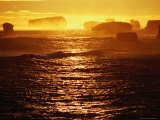 Buy Bay of Martyrs at Sunset, Peterborough, Australia at AllPosters.com
