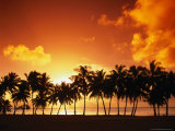 Sunset Over Palm Trees on West Coast, Cook Islands