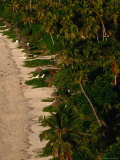 Aerial View of North Beach, Mana Island, Western Division, Fiji