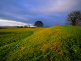 Giant's Ring Dates from 4000 BC, Ballynahatty, United Kingdom