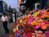 Artificial Flower Seller at Pettah Bazaar, Colombo, Sri Lanka