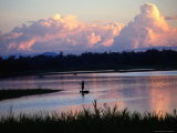 Buy Sepik River, Maliwai, Upper Sepik, at Sunset, East Sepik, Papua New Guinea at AllPosters.com