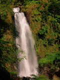 Buy Waterfall in Lush Environment, Morne Trois Pitons National Park, Trafalgar Falls, Dominica at AllPosters.com