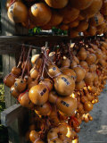 Buy Hollow Gourds Hanging at Shrine, Tokyo, Japan at AllPosters.com