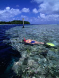 Buy Woman Snorkelling on Reef, Pohnpei State, Micronesia at AllPosters.com