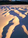 Buy Sand Dune Formations, Croajingolong National Park, Australia at AllPosters.com