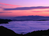 Terrible Hollow with Mt. Buffalo in Distance at Sunrise, Mt. Buffalo National Park, Australia