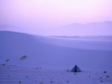 Tent in Gypsum Dune Field, White Sands National Monument, New Mexico, USA