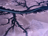 The River System and Estuaries Near the Gulf of Carpenteria, Queensland, Australia