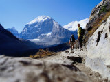Hikers on Plain of Six Glaciers Trail, Banff National Park, Canada