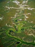 Buy Wetlands at Carrizo Plain, California, USA at AllPosters.com