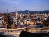 Fishing Boats in Port, Wajima, Japan