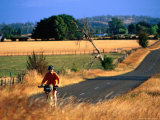 Cyclist, with Great Western Tiers Mountain Range in the Background, Bracknell, Australia