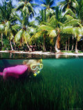 Buy Woman Snorkelling, Micronesia at AllPosters.com