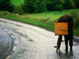 Buy A Lone Traveller and His Bicycle, Ireland at AllPosters.com